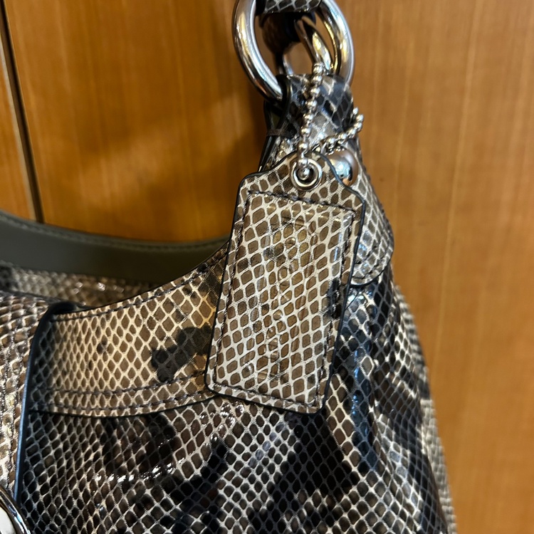 その他 コーチ （ブランドバッグ）の商品画像 - 査定依頼日：2026年2月11日 - 最高査定価格：3,000円