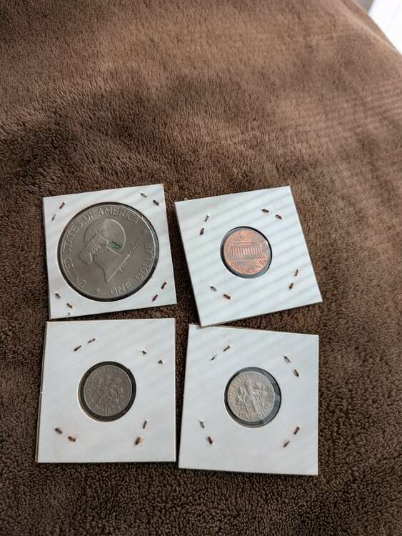 外国コイン（美術品・骨董品）の商品画像 - 査定依頼日：2025年2月23日