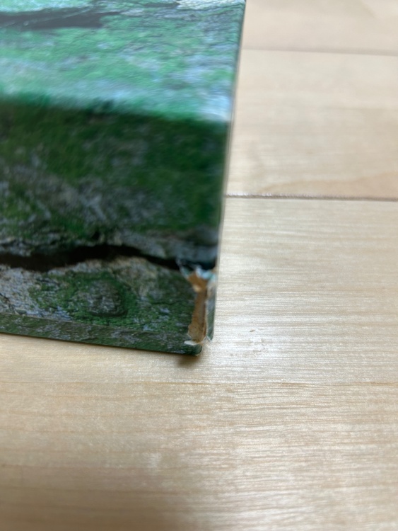 ロレックス その他 16570 エクスプローラ（高級時計）の商品画像 - 査定依頼日：2026年1月16日 - 最高査定価格：1,230,000円