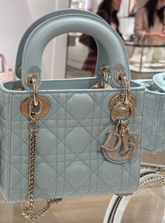 ディオール  （ブランドバッグ）の商品画像 - 査定依頼日：2025年10月12日 - 最高査定価格：450,000円