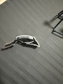 その他 その他 エマポリオあるまー（高級時計）の商品画像 - 査定依頼日：2025年11月10日 - 最高査定価格：2,000円