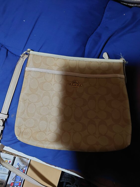 ショルダーバッグ（ブランドバッグ）の商品画像 - 査定依頼日：2026年1月22日 - 最高査定価格：100,000円