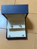 ヴァンドーム青山　ピアス（金・貴金属）の商品画像 - 査定依頼日：2026年5月2日 - 最高査定価格：100,000円