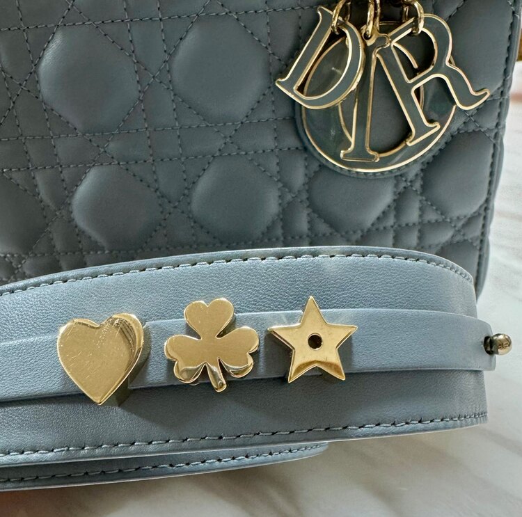 レディディオール（ブランドバッグ）の商品画像 - 査定依頼日：2025年2月28日 - 最高査定価格：400,000円