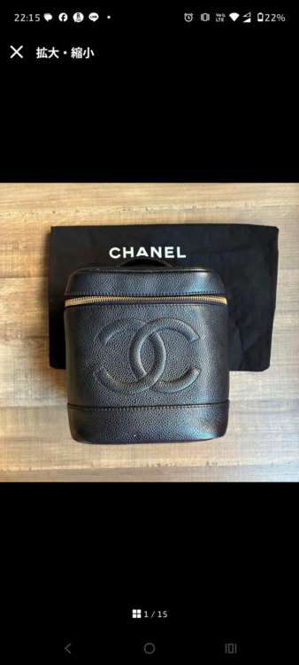 バニティ（ブランドバッグ）の商品画像 - 査定依頼日：2026年2月14日 - 最高査定価格：110,000円