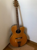 Takamine フルアコ PT-015E アーチドトップ（ピアノ・楽器・PA機材）の商品画像 - 査定依頼日：2026年9月27日 - 最高査定価格：40,000円