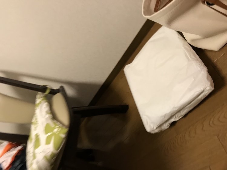 セリーヌ  ホリゾンタル　カバ　キャンバストートバッグ（ブランドバッグ）の商品画像 - 査定依頼日：2020年8月2日 - 最高査定価格：100,000円