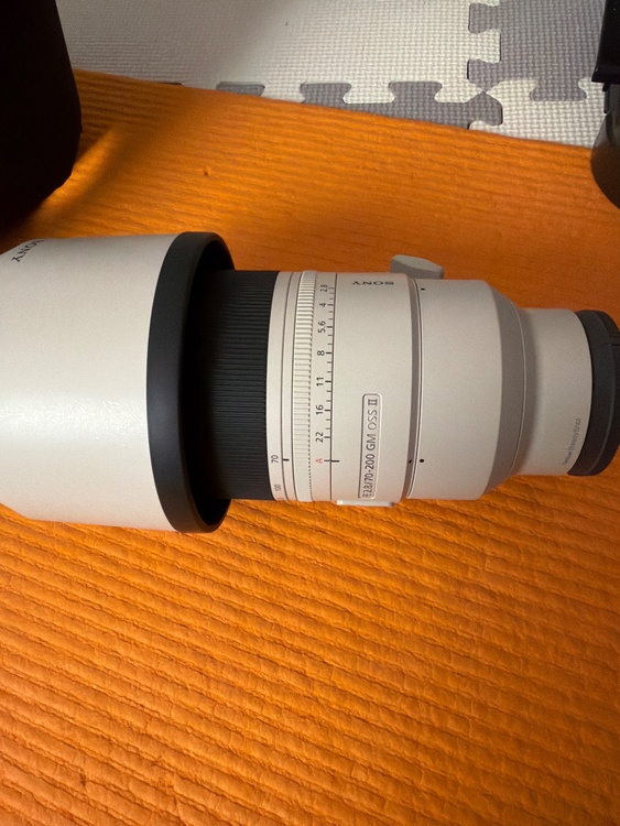 FE 70-200mm F2.8 GM OSS II（カメラ）の商品画像 - 査定依頼日：2026年7月29日 - 最高査定価格：250,000円