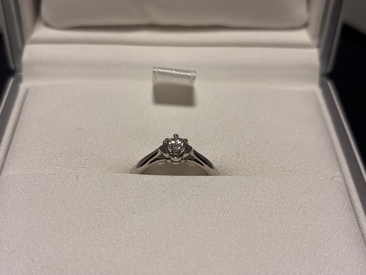 シャネル カメリア （ブランドバッグ）の商品画像 - 査定依頼日：2025年6月8日 - 最高査定価格：120,000円