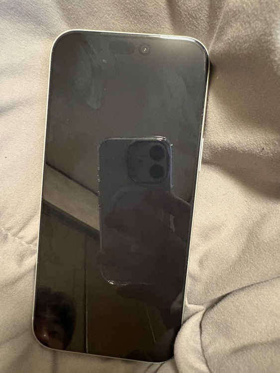 iPhone iPhone 17 Pro Max 256GB SIMフリー（スマホ）の商品画像 - 査定依頼日：2026年9月3日 - 最高査定価格：172,000円