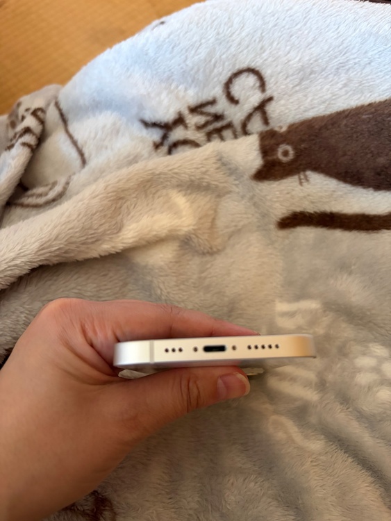 iPhone iPhone 13 128GB Softbank（スマホ）の商品画像 - 査定依頼日：2026年6月19日 - 最高査定価格：32,500円