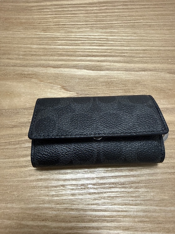 その他 コーチ （ブランドバッグ）の商品画像 - 査定依頼日：2026年4月8日 - 最高査定価格：600円