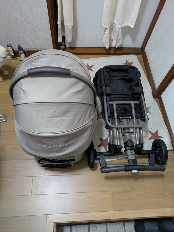 エアバギーヴィズエックス（アウトドア用品）の商品画像 - 査定依頼日：2026年2月3日 - 最高査定価格：3,000円