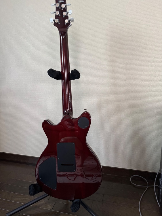 Ts guitars arc-std（ピアノ・楽器・PA機材）の商品画像 - 査定依頼日：2026年8月23日 - 最高査定価格：250,000円