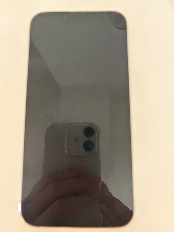 iPhone iPhone 13 Pro 128GB SIMフリー（スマホ）の商品画像 - 査定依頼日：2026年9月2日 - 最高査定価格：43,500円