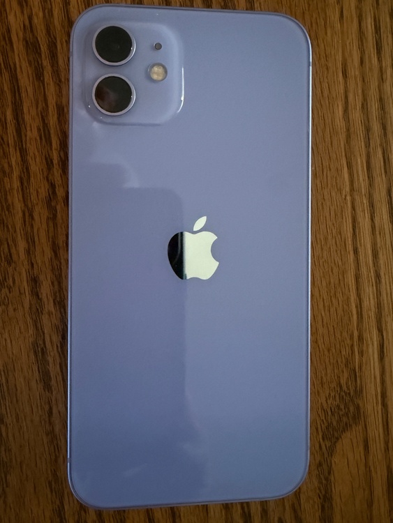 iPhone iPhone 12 64GB SIMフリー（スマホ）の商品画像 - 査定依頼日：2026年6月28日 - 最高査定価格：10,000円