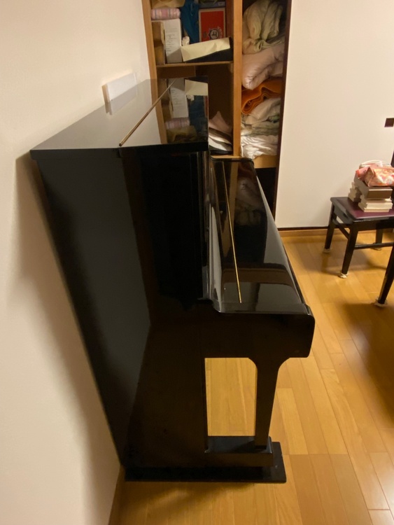 YUS（ピアノ・楽器・PA機材）の商品画像 - 査定依頼日：2026年8月10日 - 最高査定価格：20,000円