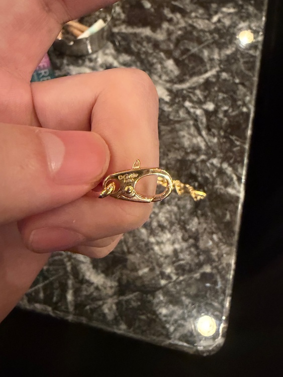 ネックレス（金・貴金属）の商品画像 - 査定依頼日：2026年1月23日 - 最高査定価格：750,000円