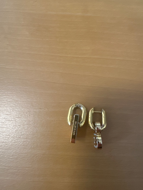 ピアス（ブランド財布・小物）の商品画像 - 査定依頼日：2025年11月19日 - 最高査定価格：34,000円