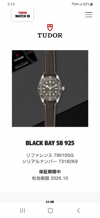 ブラックベイ58　925（高級時計）の商品画像 - 査定依頼日：2025年6月30日 - 最高査定価格：420,000円