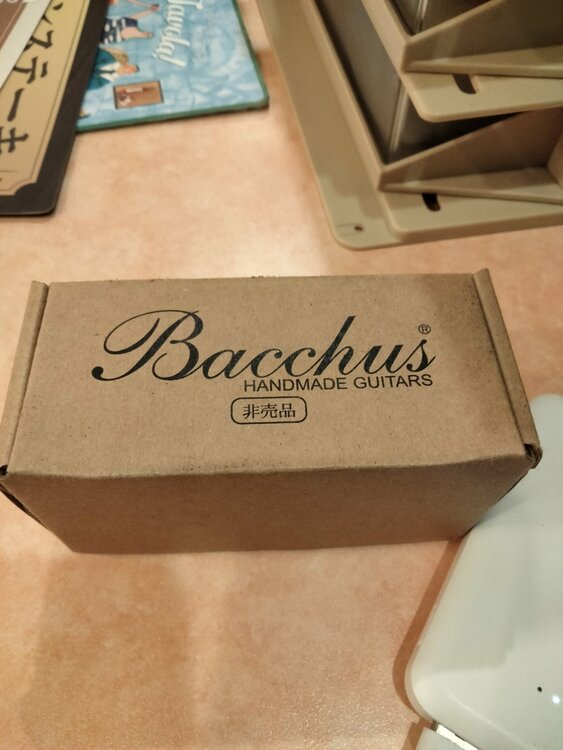 Bacchus HANDMADE GUITARS（ピアノ・楽器・PA機材）の商品画像 - 査定依頼日：2026年7月1日 - 最高査定価格：100,000円