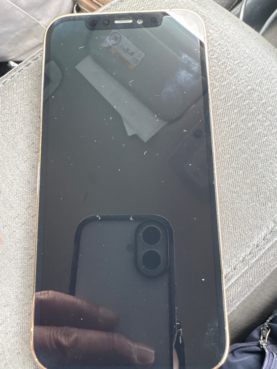 iPhone iPhone 12 Pro 256GB Softbank（スマホ）の商品画像 - 査定依頼日：2026年9月11日 - 最高査定価格：22,000円