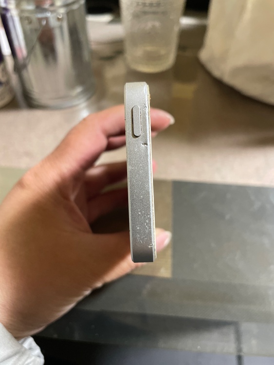 iPhoneSE 16GB SIMフリー（スマホ）の商品画像 - 査定依頼日：2026年2月26日 - 最高査定価格：100,000円