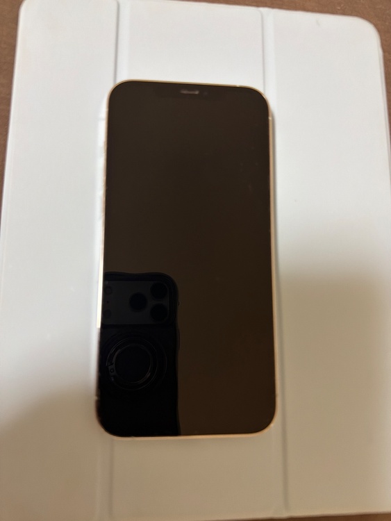 iPhone iPhone 12 Pro Max 256GB docomo（スマホ）の商品画像 - 査定依頼日：2026年9月27日 - 最高査定価格：43,000円