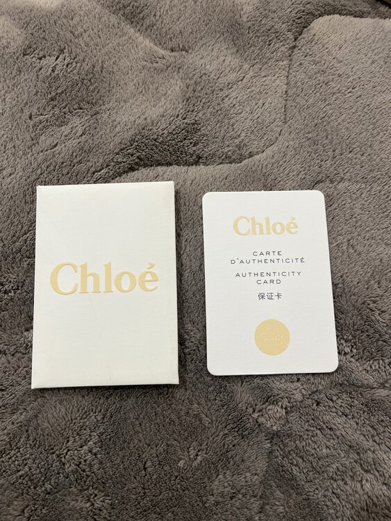 その他 クロエ （ブランドバッグ）の商品画像 - 査定依頼日：2025年3月30日 - 最高査定価格：75,000円