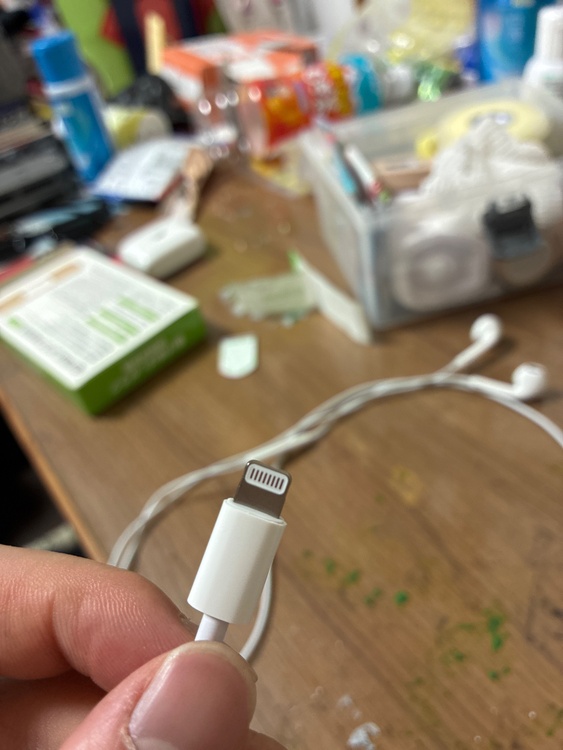 Apple 純正 EarPods with Lightning Connecto（オーディオ・スピーカー）の商品画像 - 査定依頼日：2026年4月22日 - 最高査定価格：100,000円