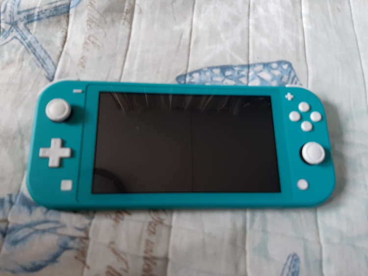 Nintendo Switchライト（ゲーム機本体・ゲームソフト）の商品画像 - 査定依頼日：2020年6月24日 - 最高査定価格：20,000円