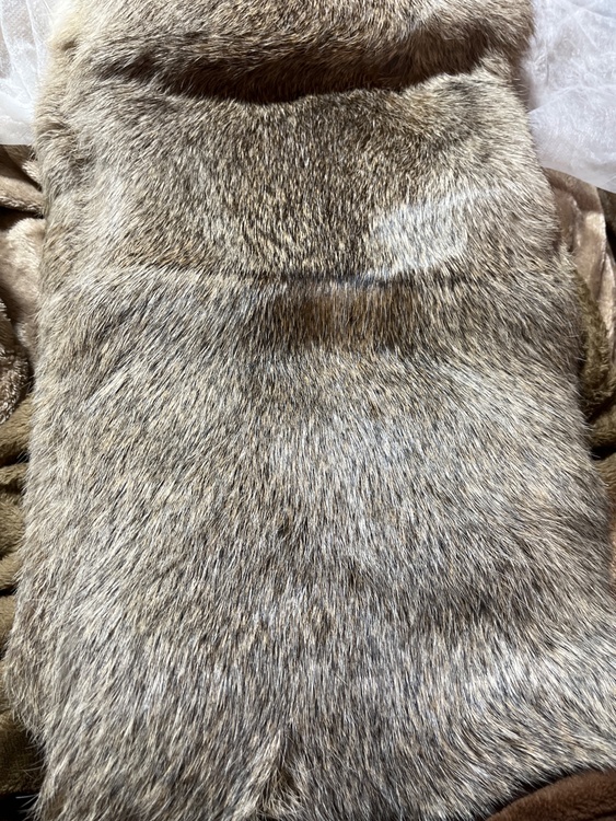 ルイヴィトン ルイヴィトン(その他) （ブランドバッグ）の商品画像 - 査定依頼日：2026年2月10日 - 最高査定価格：105,000円