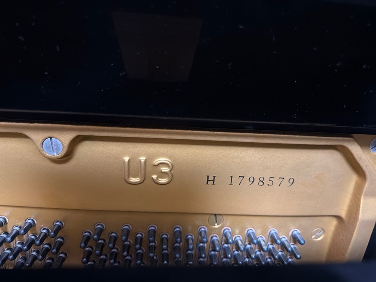 U3 H 1798579（ピアノ・楽器・PA機材）の商品画像 - 査定依頼日：2025年10月10日 - 最高査定価格：30,000円