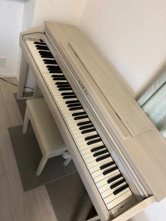 CA48A（ピアノ・楽器・PA機材）の商品画像 - 査定依頼日：2025年11月19日 - 最高査定価格：31,000円