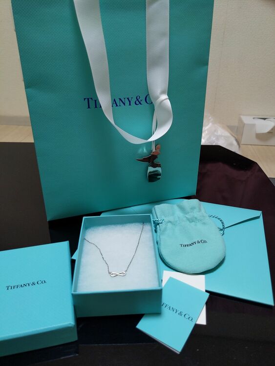 ネックレス インフィニティ（金・貴金属）の商品画像 - 査定依頼日：2025年9月10日 - 最高査定価格：21,000円