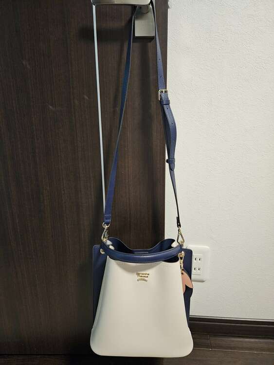 ショルダーバッグ（ブランドバッグ）の商品画像 - 査定依頼日：2025年4月13日 - 最高査定価格：100,000円