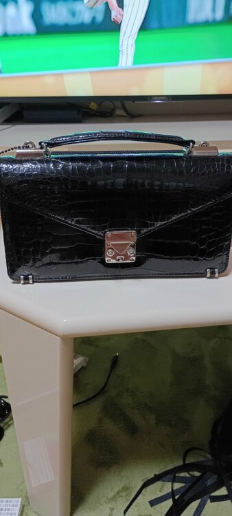 その他 その他 （ブランドバッグ）の商品画像 - 査定依頼日：2026年3月7日 - 最高査定価格：100,000円