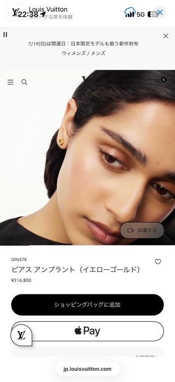 ルイヴィトン ルイヴィトン(その他)（ブランドバッグ）の商品画像 - 査定依頼日：2026年7月23日 - 最高査定価格：250,000円