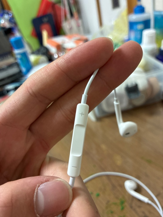 Apple 純正 EarPods with Lightning Connecto（オーディオ・スピーカー）の商品画像 - 査定依頼日：2026年4月22日 - 最高査定価格：100,000円