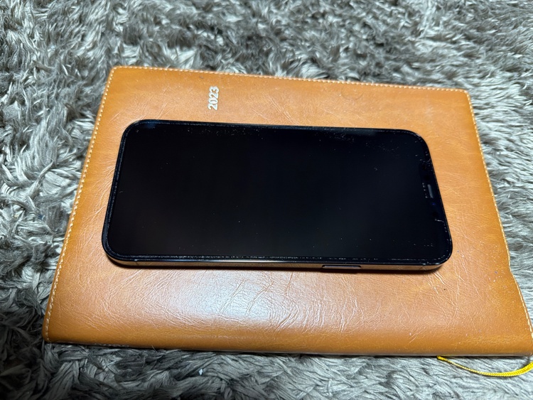 iPhone12 Pro Max（美術品・骨董品）の商品画像 - 査定依頼日：2026年2月18日 - 最高査定価格：41,000円