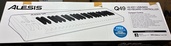Alesis Q49（ピアノ・楽器・PA機材）の商品画像 - 査定依頼日：2026年5月3日 - 最高査定価格：2,000円