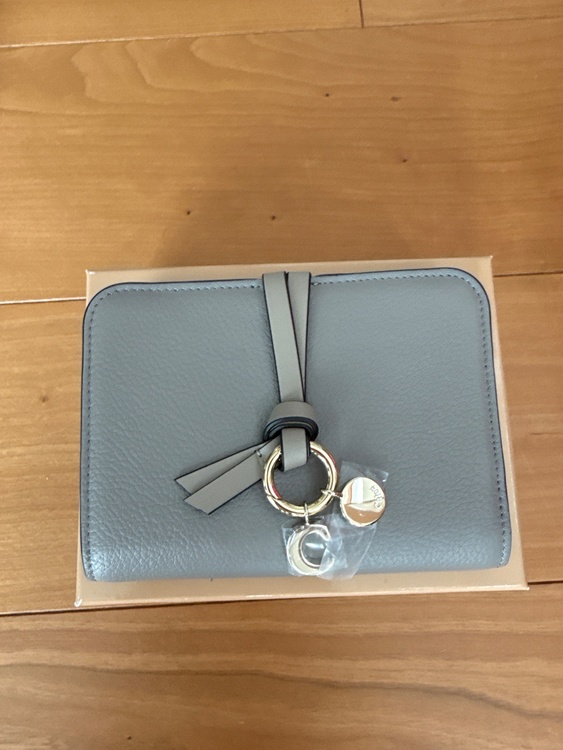 その他 クロエ （ブランドバッグ）の商品画像 - 査定依頼日：2026年2月1日 - 最高査定価格：25,000円