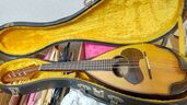 ウクレレ（ピアノ・楽器・PA機材）の商品画像 - 査定依頼日：2025年10月17日 - 最高査定価格：5,000円