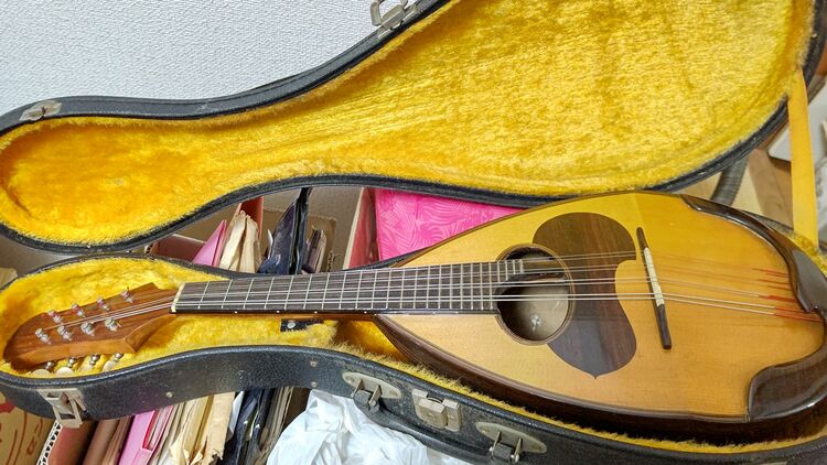 ウクレレ（ピアノ・楽器・PA機材）の商品画像 - 査定依頼日：2025年10月17日 - 最高査定価格：5,000円