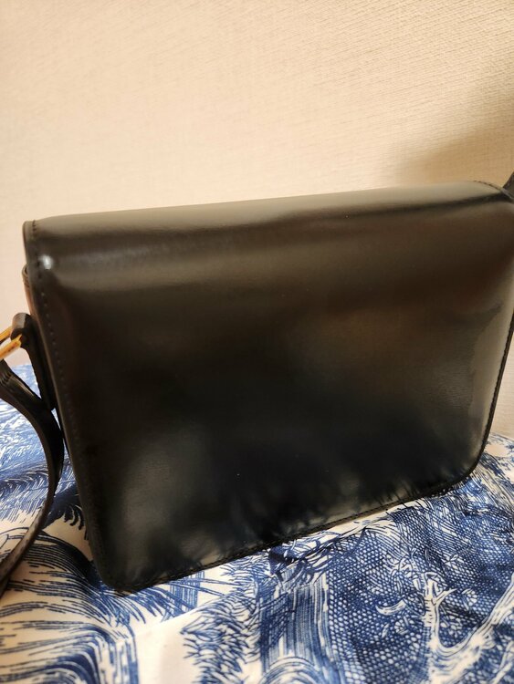 セリーヌ（ブランドバッグ）の商品画像 - 査定依頼日：2026年9月21日 - 最高査定価格：290,000円