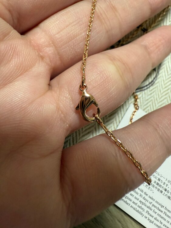 エルメス エルメス(その他) （ブランドバッグ）の商品画像 - 査定依頼日：2025年5月12日 - 最高査定価格：45,000円