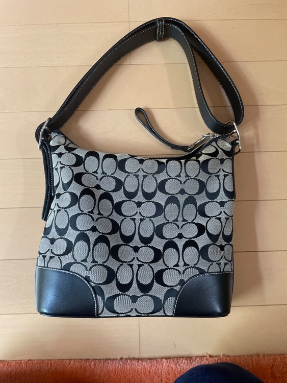  No D3K-6347（ブランドバッグ）の商品画像 - 査定依頼日：2026年4月11日 - 最高査定価格：1,500円