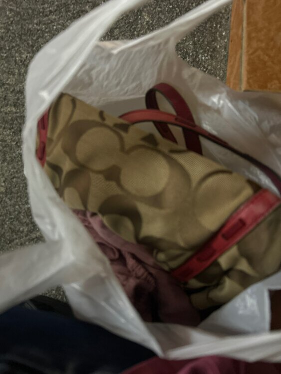 その他 コーチ （ブランドバッグ）の商品画像 - 査定依頼日：2025年1月29日 - 最高査定価格：2,000円