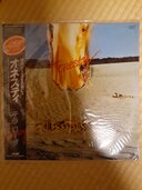 オネスティ　テラ・ローザ（レコード）の商品画像 - 査定依頼日：2026年5月1日 - 最高査定価格：500円