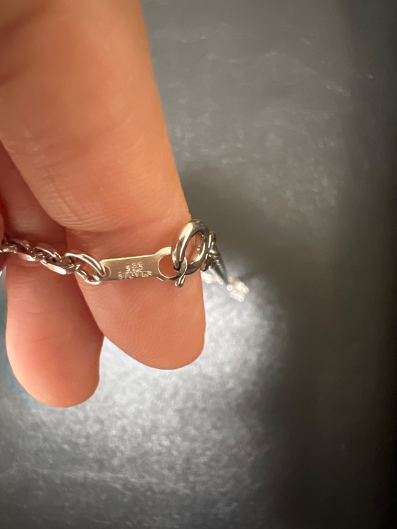 ネックレス（金・貴金属）の商品画像 - 査定依頼日：2025年8月19日 - 最高査定価格：2,300円